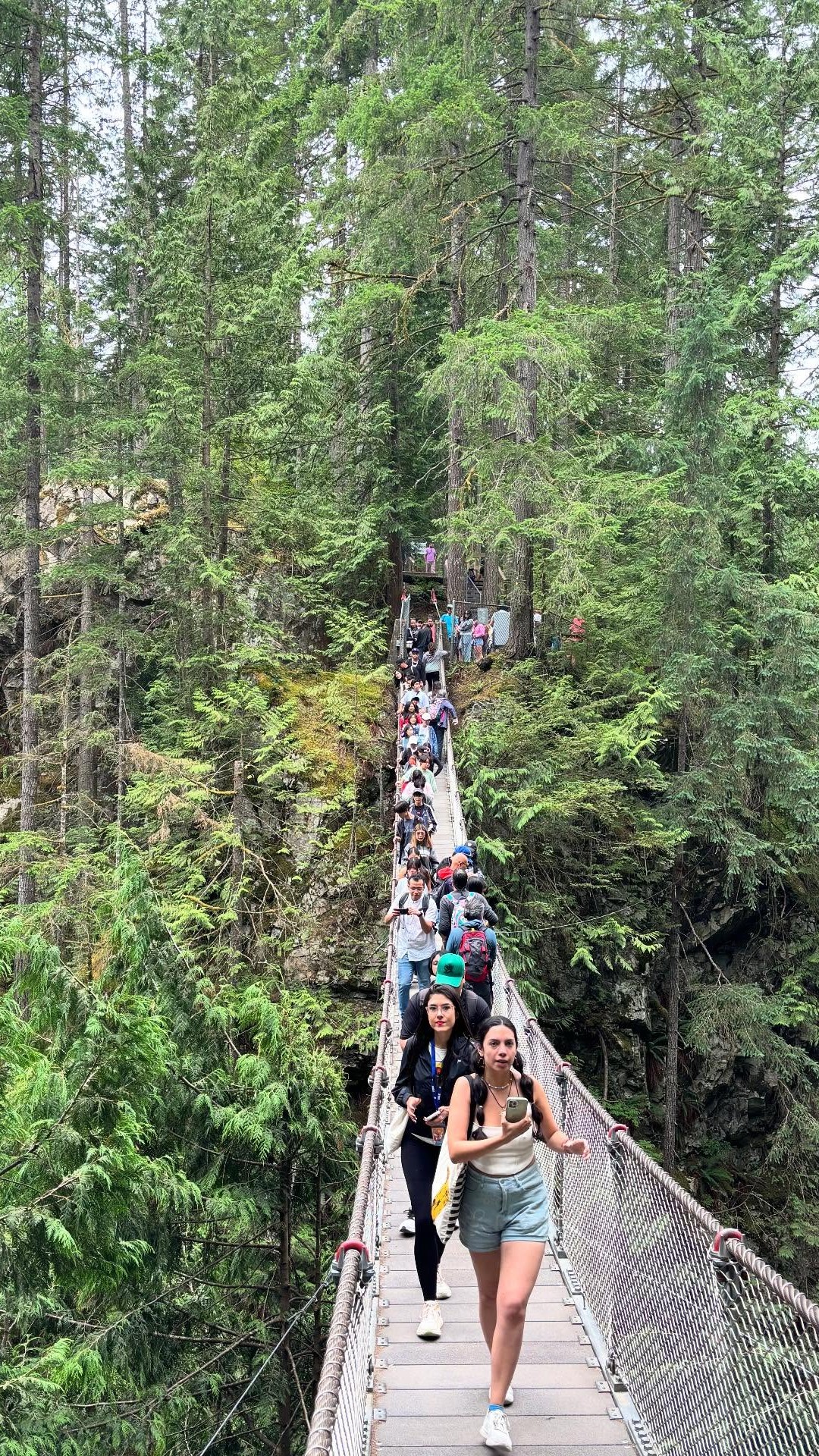 Students walking on Capilano suspension bridge