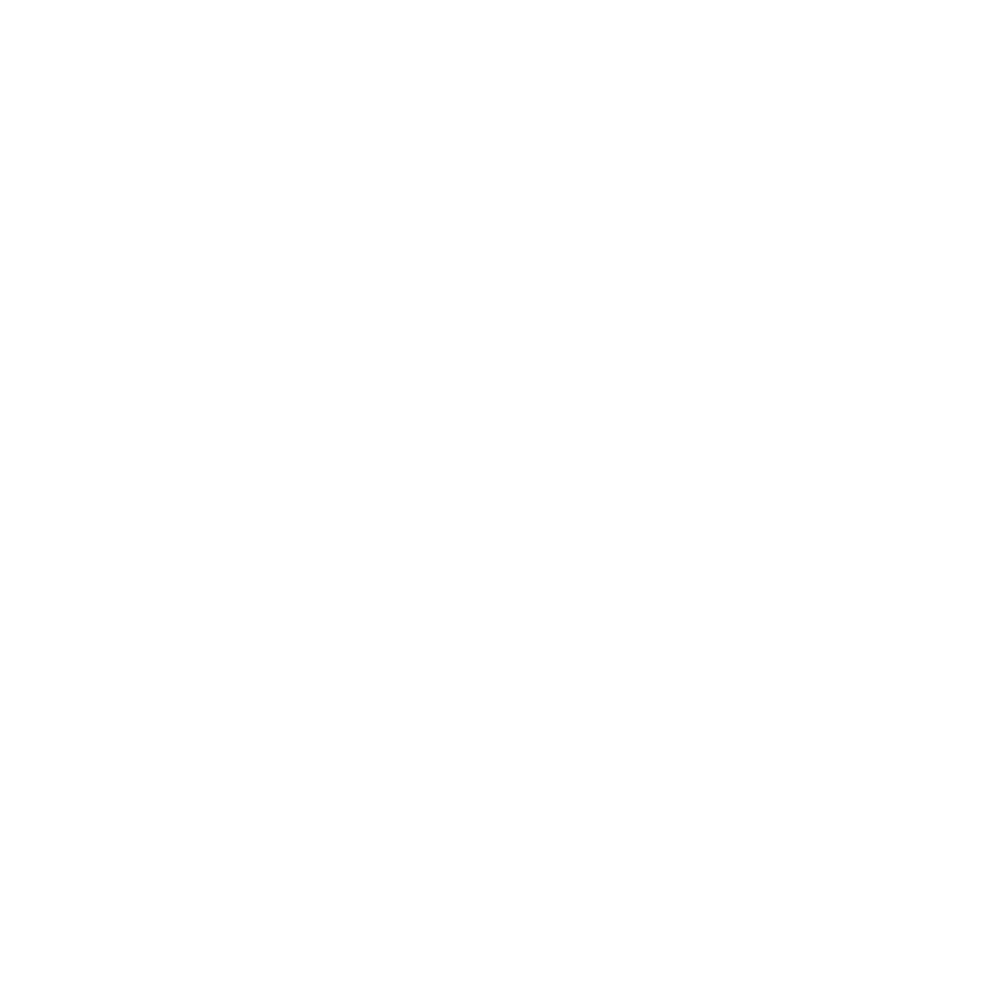 SELC Language College